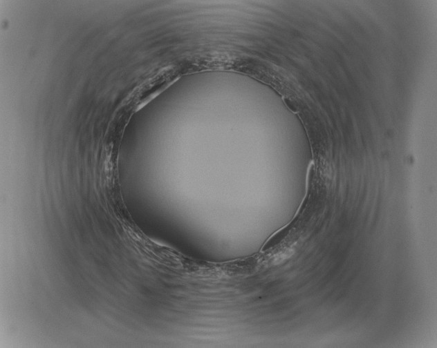 X0000081300818200701251715