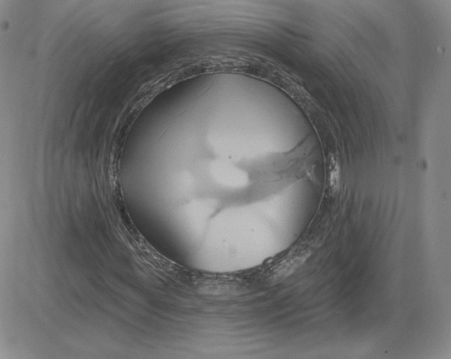 X0000081300819200701251715