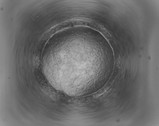 X0000081300821200701251715