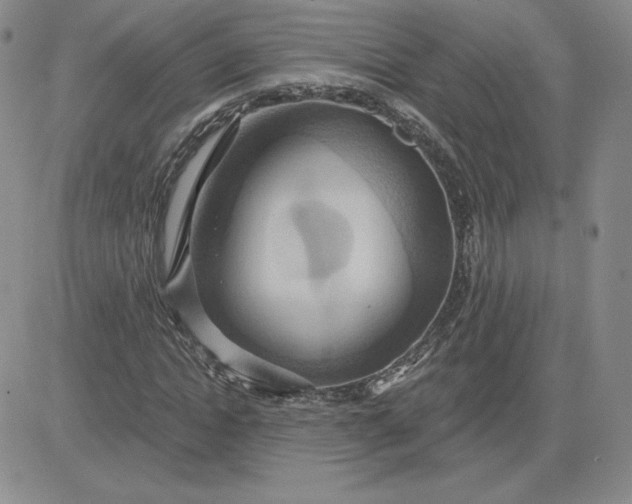 X0000081300822200701251716