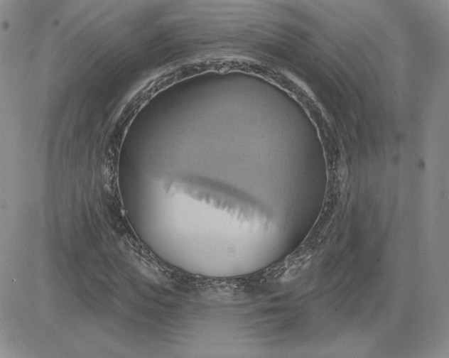 X0000081300823200701251716