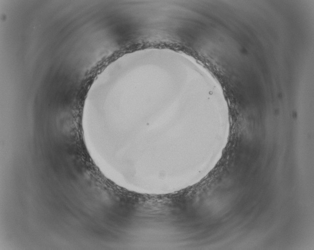 X0000081300824200701251716