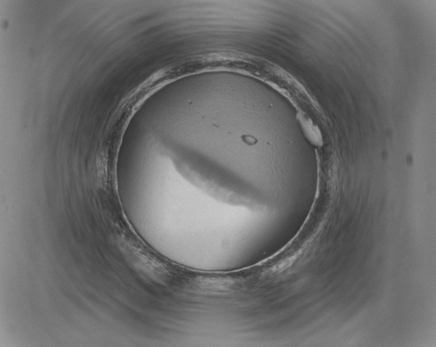 X0000081300825200701251716