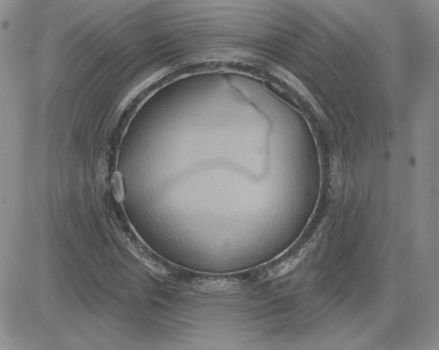 X0000081300826200701251716