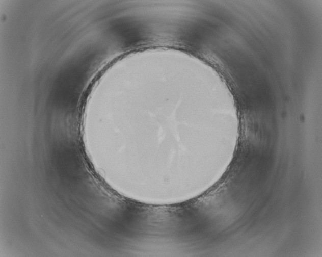 X0000081300828200701251716