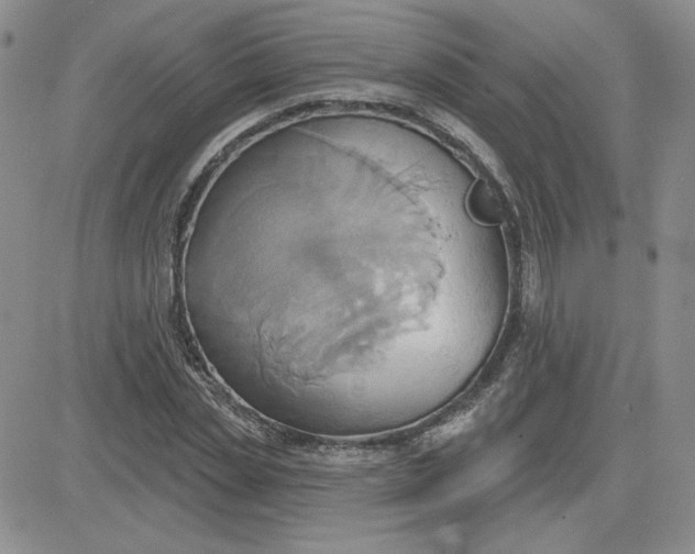 X0000081300829200701251716