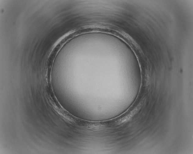 X0000081300830200701251716