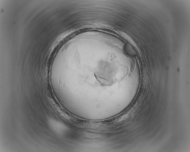 X0000081300831200701251716