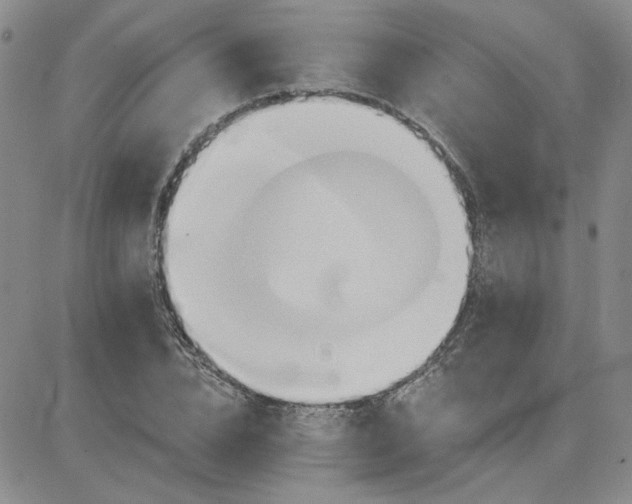 X0000081300832200701251716