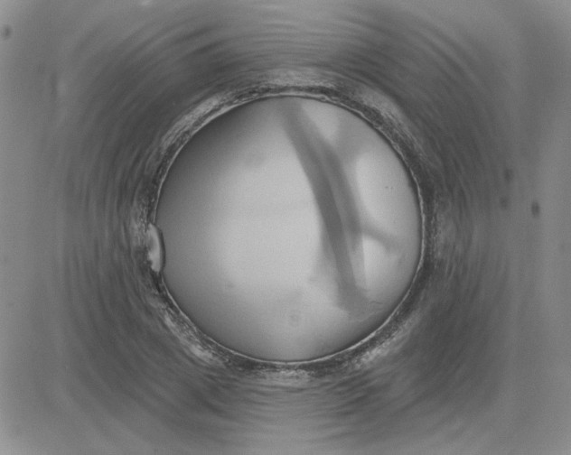 X0000081300833200701251716