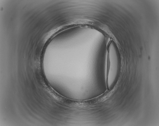 X0000081300834200701251716