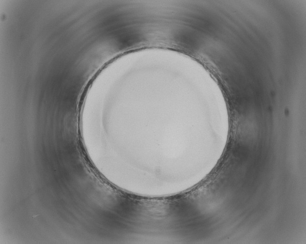 X0000081300836200701251716