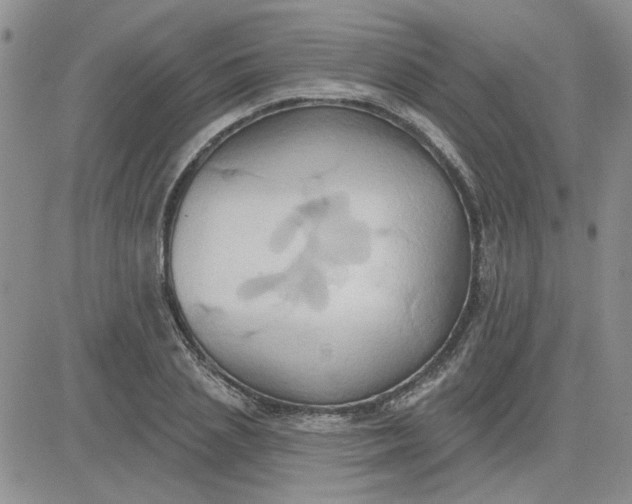 X0000081300837200701251716