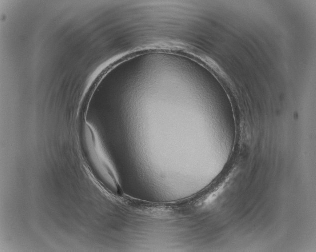 X0000081300838200701251716