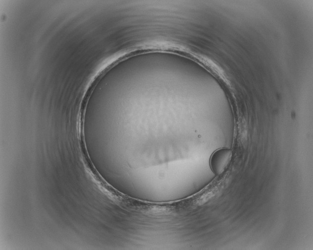 X0000081300839200701251716