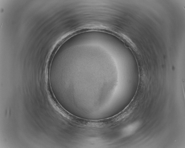 X0000081300840200701251716