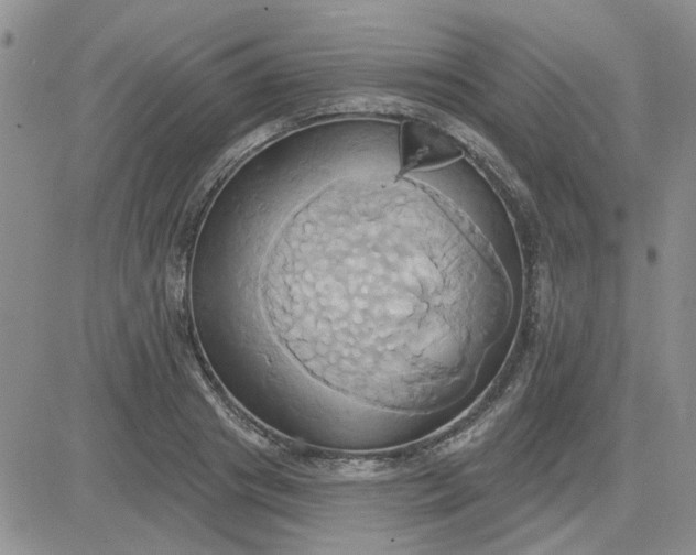 X0000081300841200701251716