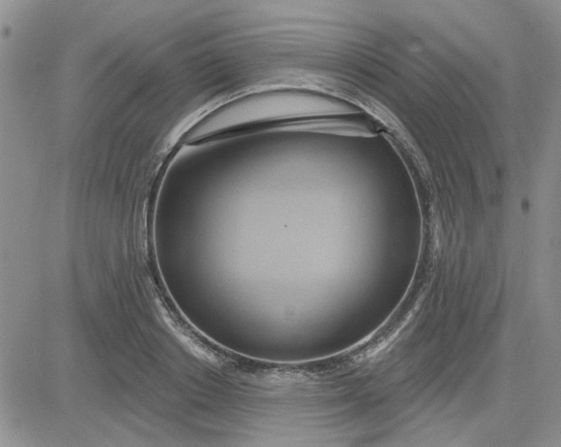 X0000081300842200701251716