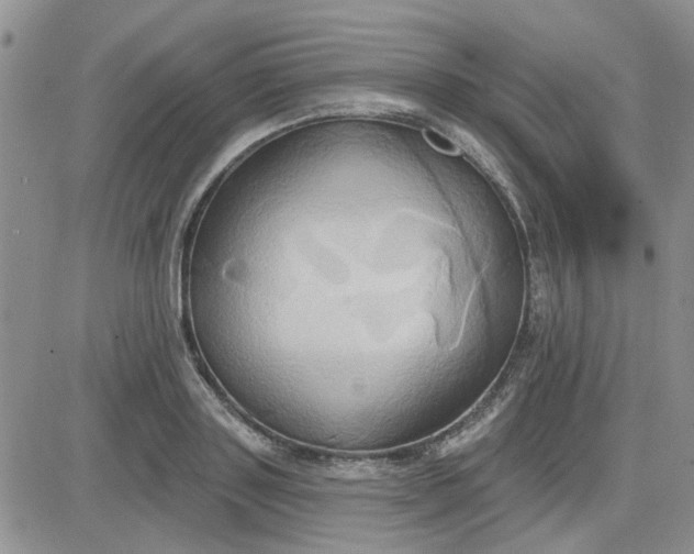 X0000081300843200701251716