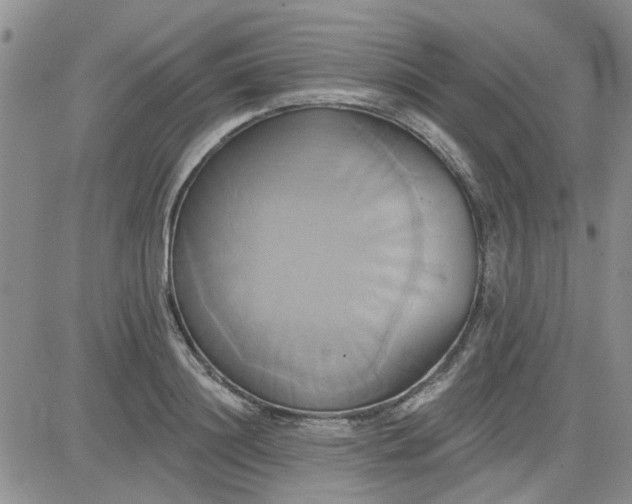 X0000081300844200701251716