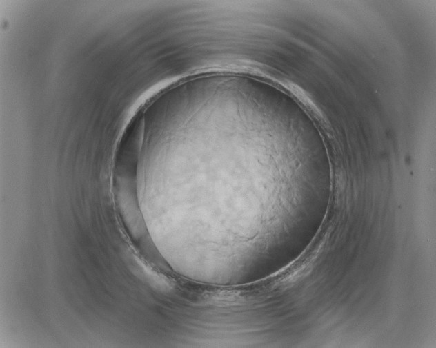 X0000081300846200701251716