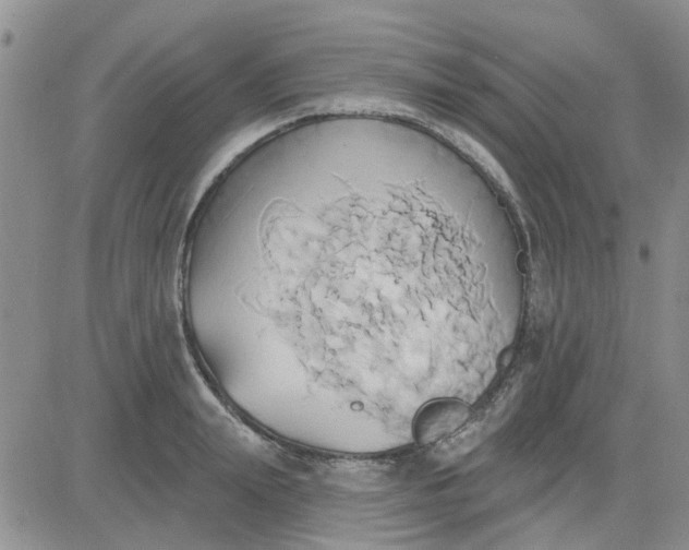 X0000081300847200701251716