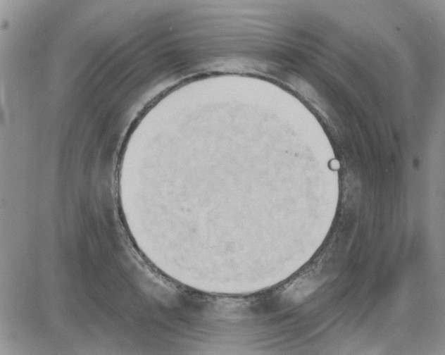 X0000081300848200701251716