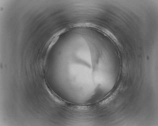 X0000081300849200701251716