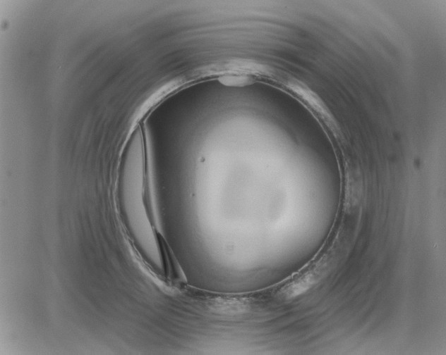 X0000081300850200701251716