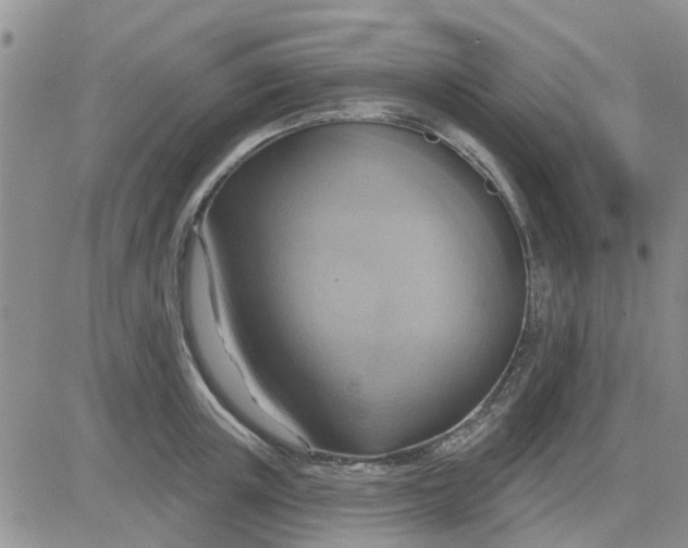 X0000081300851200701251716