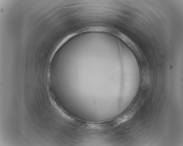 X0000081300852200701251716