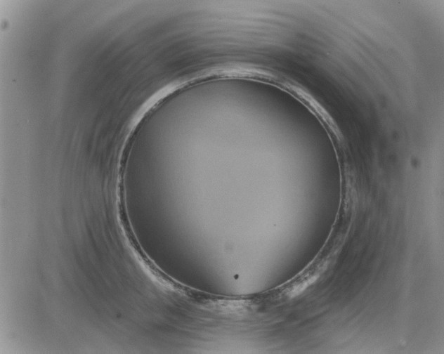 X0000081300853200701251716