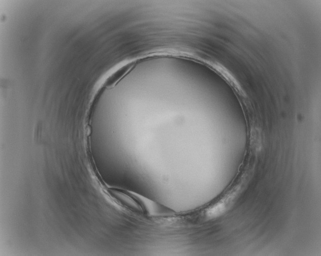 X0000081300854200701251716