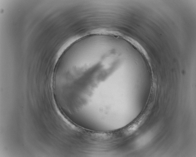 X0000081300855200701251716