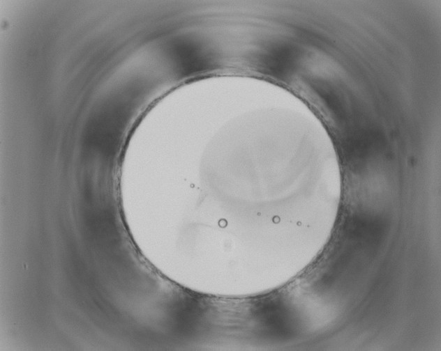 X0000081300856200701251716