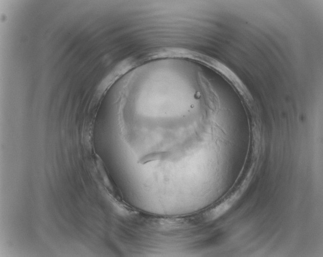 X0000081300857200701251716