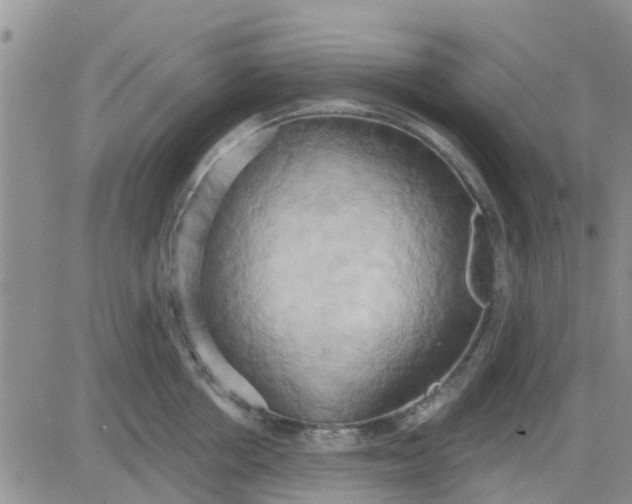 X0000081300858200701251716