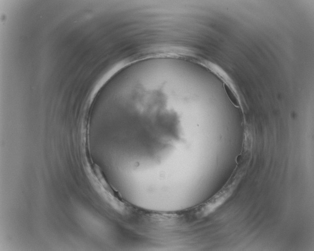 X0000081300859200701251716