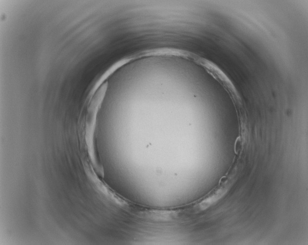 X0000081300860200701251716