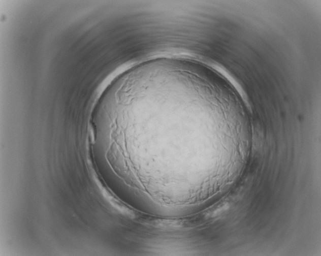 X0000081300861200701251716