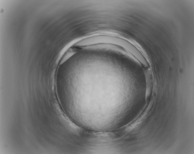 X0000081300862200701251716