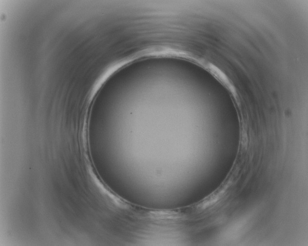 X0000081300863200701251716