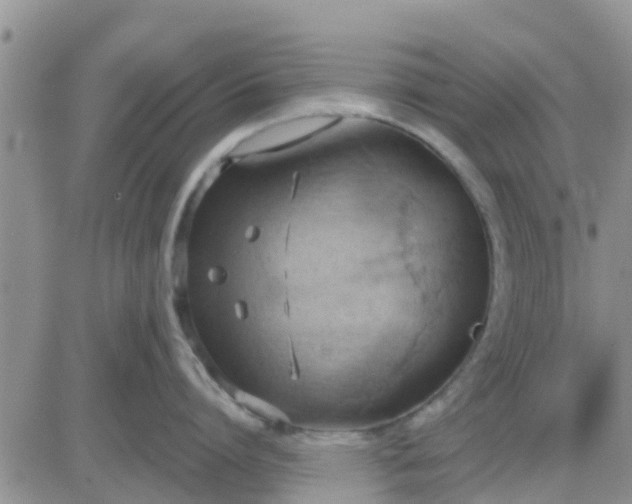 X0000081300864200701251716