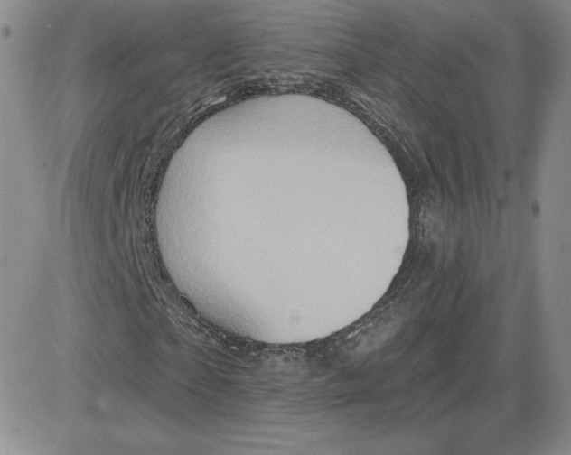 X0000081300865200701251715