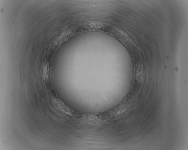 X0000081300866200701251715