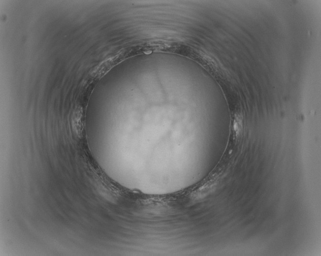 X0000081300867200701251715