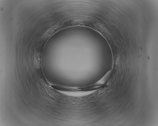 X0000081300868200701251715