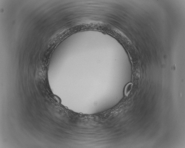 X0000081300869200701251715