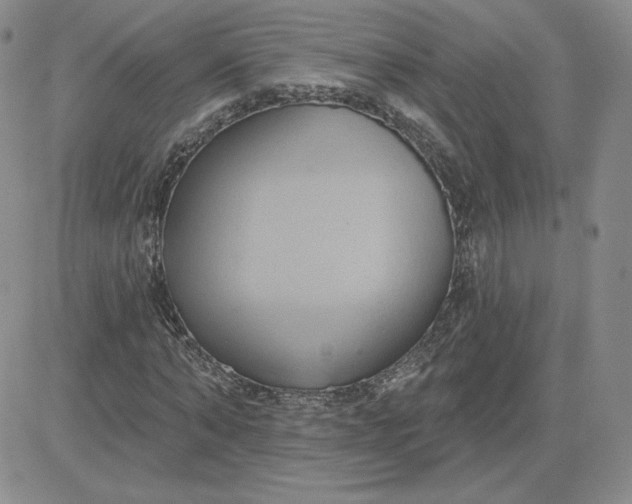 X0000081300870200701251715