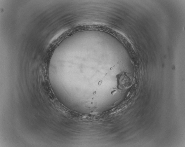 X0000081300871200701251715